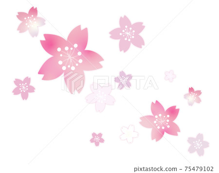 Cherry blossom background material 75479102