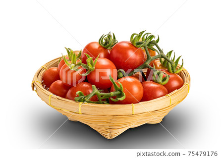 Side view of freshly harvested ripe tomatoes in bamboo basket on white background with clipping path. Side view of freshly harvested ripe tomatoes in bamboo basket on white background with clipping path. 75479176