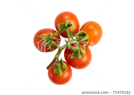 Top view of red ripe tomatoes on white background with clipping path. Top view of red ripe tomatoes on white background with clipping path. 75479182