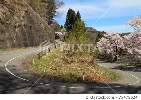 前島州立高速公路 小坂pass 愛媛高速公路 和福島縣櫻花國見町 照片素材 圖片 圖庫