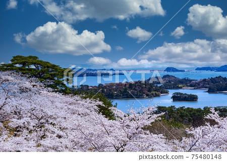 Matsushima Three Views of Japan, Matsu Park on the Westbound 75480148