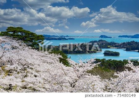 Matsushima Three Views of Japan, Matsu Park on the Westbound 75480149
