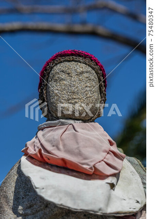 索菲坎農 75480347