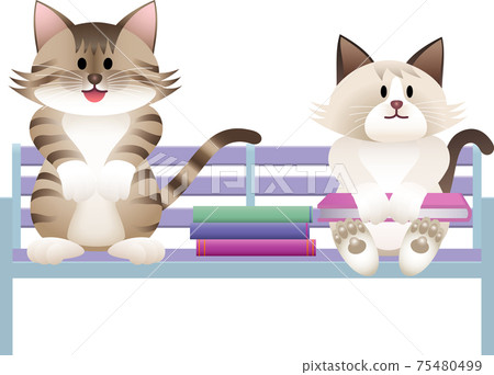 一隻貓坐在長椅上的插圖 75480499