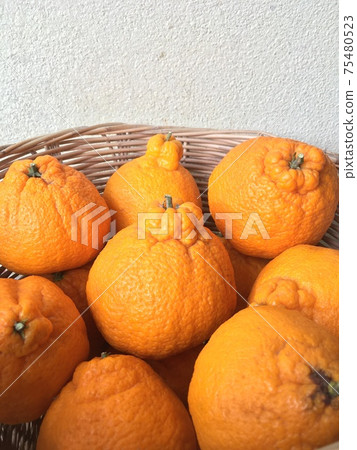 Japanese citrus orange  fruits name Dekopon in basket. 75480523