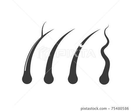 hair root icon vector illustration design 75480586