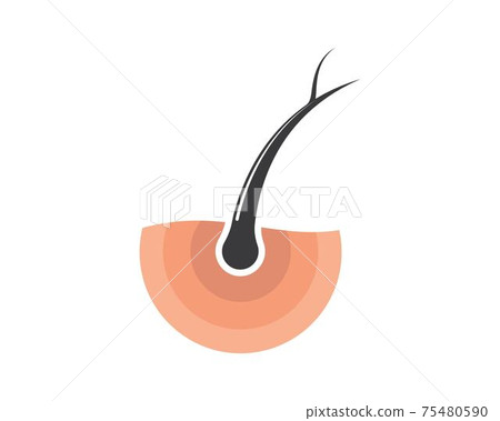 hair root icon vector illustration design hair root icon vector illustration design 75480590
