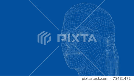 Wireframe portrait of a young beautiful girl 75481471