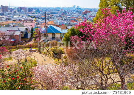 The city of Okamoto seen from Okamoto Bairin Park in Okamoto, Higashinada-ku, Kobe 75481909