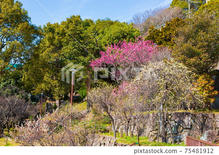 神戶市東田區岡本市的岡本拜林公園 75481912