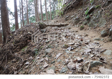 Mountain trail from Hinata Valley to Oyama (Ninety-nine songs hiking course) Mountain trail from Hinata Valley to Oyama (Ninety-nine songs hiking course) 75482372