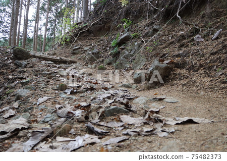 Mountain trail from Hinata Valley to Oyama (Ninety-nine songs hiking course) Mountain trail from Hinata Valley to Oyama (Ninety-nine songs hiking course) 75482373