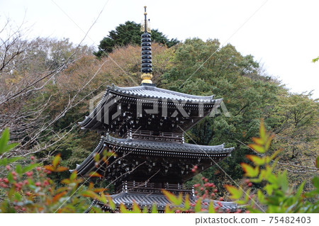 The three-storied pagoda at Johotsuganji Temple, which turns red 75482403