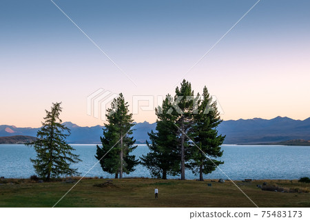 A woman wearing white sweater is walking along Lake Tekapo with sunset in New Zealand. A woman wearing white sweater is walking along Lake Tekapo with sunset in New Zealand. 75483173