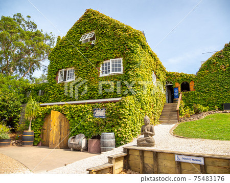 Auckland, New Zealand - Feb 14, 2020: Stonyridge Vineyard located on Waiheke Island is the ideal north facing site to ripen and produce a world class Bordeaux style red wine. Auckland, New Zealand - Feb 14, 2020: Stonyridge Vineyard located on Waiheke Island is the ideal north facing site to ripen and produce a world class Bordeaux style red wine. 75483176