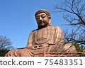 佛陀大佛 75483351