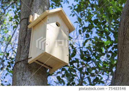 Wooden birdhouse for wild birds Wooden birdhouse for wild birds 75483546