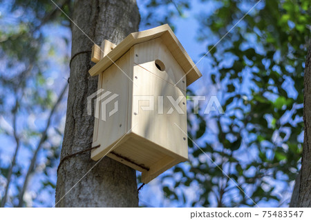 Wooden birdhouse for wild birds Wooden birdhouse for wild birds 75483547