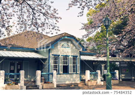 Yokohama · Yamate Sakura 75484352