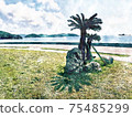 Tropical cycad 75485299