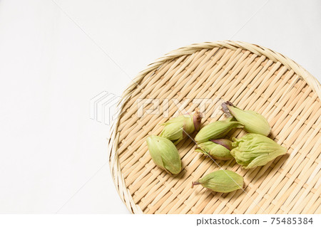 春天的味道擦布 春天的味道擦布 75485384