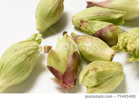 Spring taste wiping cloth Spring taste wiping cloth 75485400