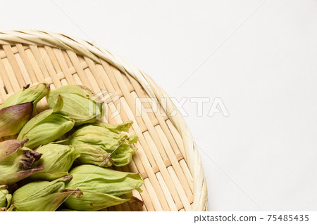 Spring taste wiping cloth 75485435