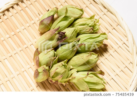 Spring taste wiping cloth Spring taste wiping cloth 75485439
