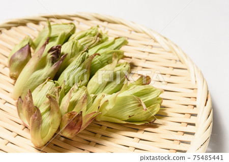 Spring taste wiping cloth Spring taste wiping cloth 75485441