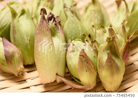 Spring taste wiping cloth Spring taste wiping cloth 75485450