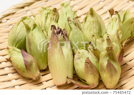 春天的味道擦布 75485472