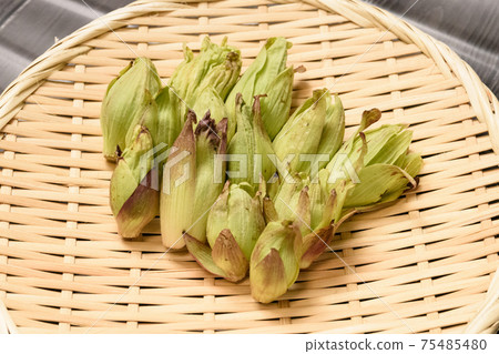 Spring taste wiping cloth Spring taste wiping cloth 75485480