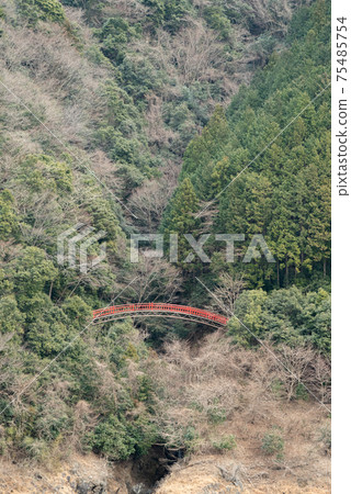 在森林的紅橋 在森林的紅橋 75485754