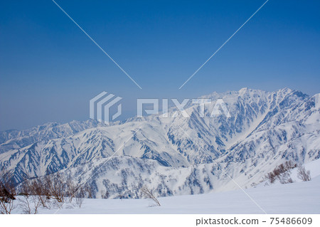 信州Tsu池 75486609