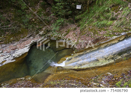 Goro jar in the scenic Shikagatsubo (Yasutomi-cho, Himeji City, Hyogo Prefecture) 75486790