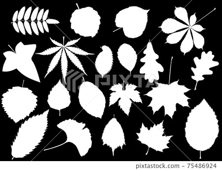 tree leaves set 75486924