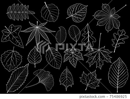 tree leaves set 75486925