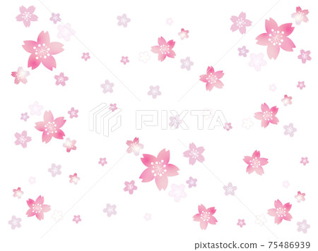 櫻花背景素材2 櫻花背景素材2 75486939