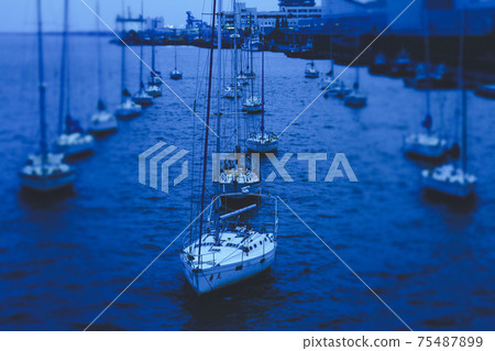 Flock of ships in the early morning Flock of ships in the early morning 75487899