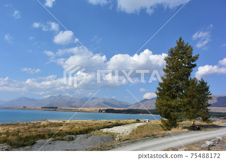 特卡波湖,牧羊人教堂,翠綠色,湖,景色絕佳(新西蘭) 特卡波湖,牧羊人教堂,翠綠色,湖,景色絕佳(新西蘭) 75488172