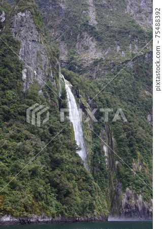 New Zealand Milford Sound landscape New Zealand Milford Sound landscape 75488392