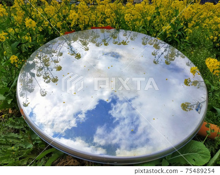 災難發生後，油菜花和彎曲的鏡子 75489254