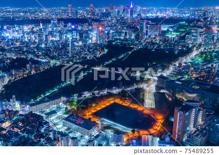 Akasaka Press Center Roppongi Hills Afternoon bird's-eye view Overlooking the city center Night view Tokyo Tower Mansion Skyscraper 75489255
