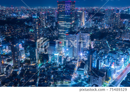 Aoyama Cemetery Aoyama Roppongi Hills Afternoon bird's-eye view Overlooking the city center Night view Tokyo Tower Mansion Skyscraper 75489329
