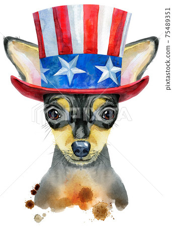Cute dog with Uncle Sam hat on white background Cute dog with Uncle Sam hat on white background 75489351
