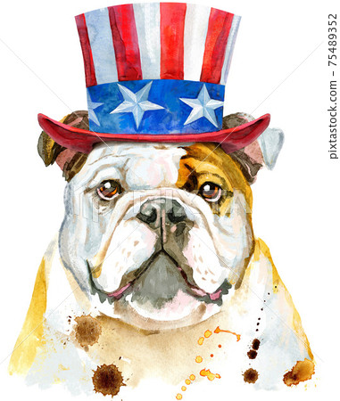 Cute dog with Uncle Sam hat on white background Cute dog with Uncle Sam hat on white background 75489352