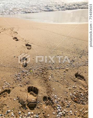 foot prints on the sandy beach in summer foot prints on the sandy beach in summer 75489603