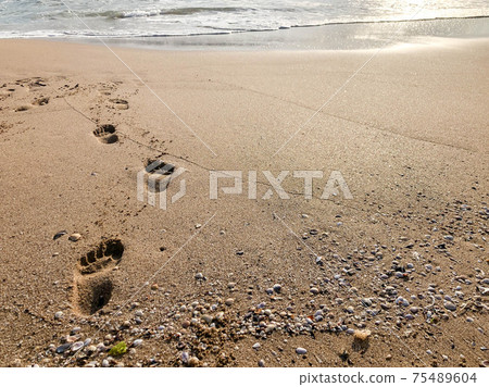 foot prints on the sandy beach in summer foot prints on the sandy beach in summer 75489604