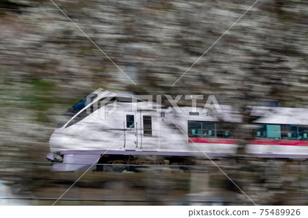 Plum running 75489926