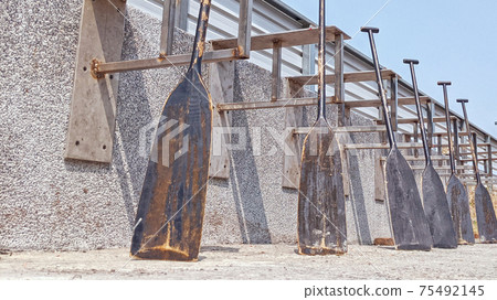 龍舟黑色木槳 75492145